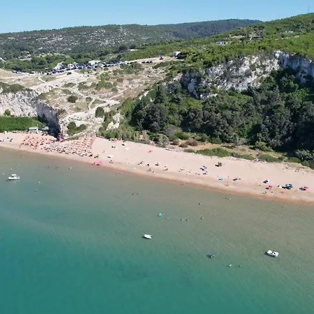 Vacanze Top-2
